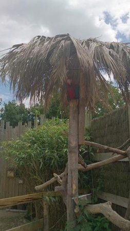 Zooparc de Cheptainville