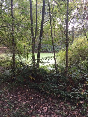 Le Bois de Verrières