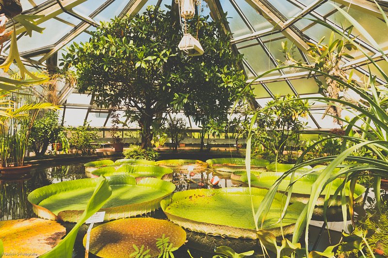 Botanischer Garten