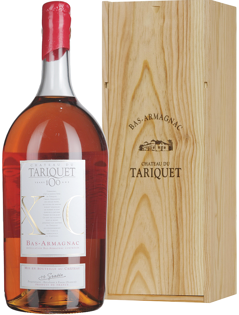 Chateau des Comtes d'Armagnac