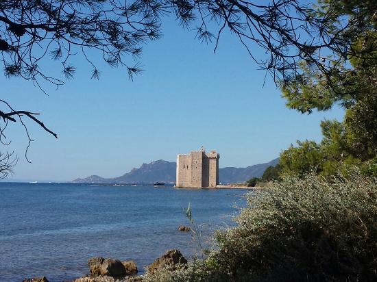Ile Saint-Honorat