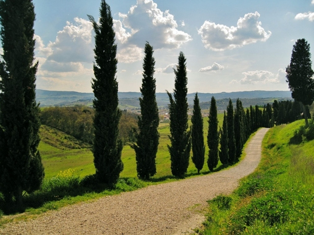 Parco di Canonica