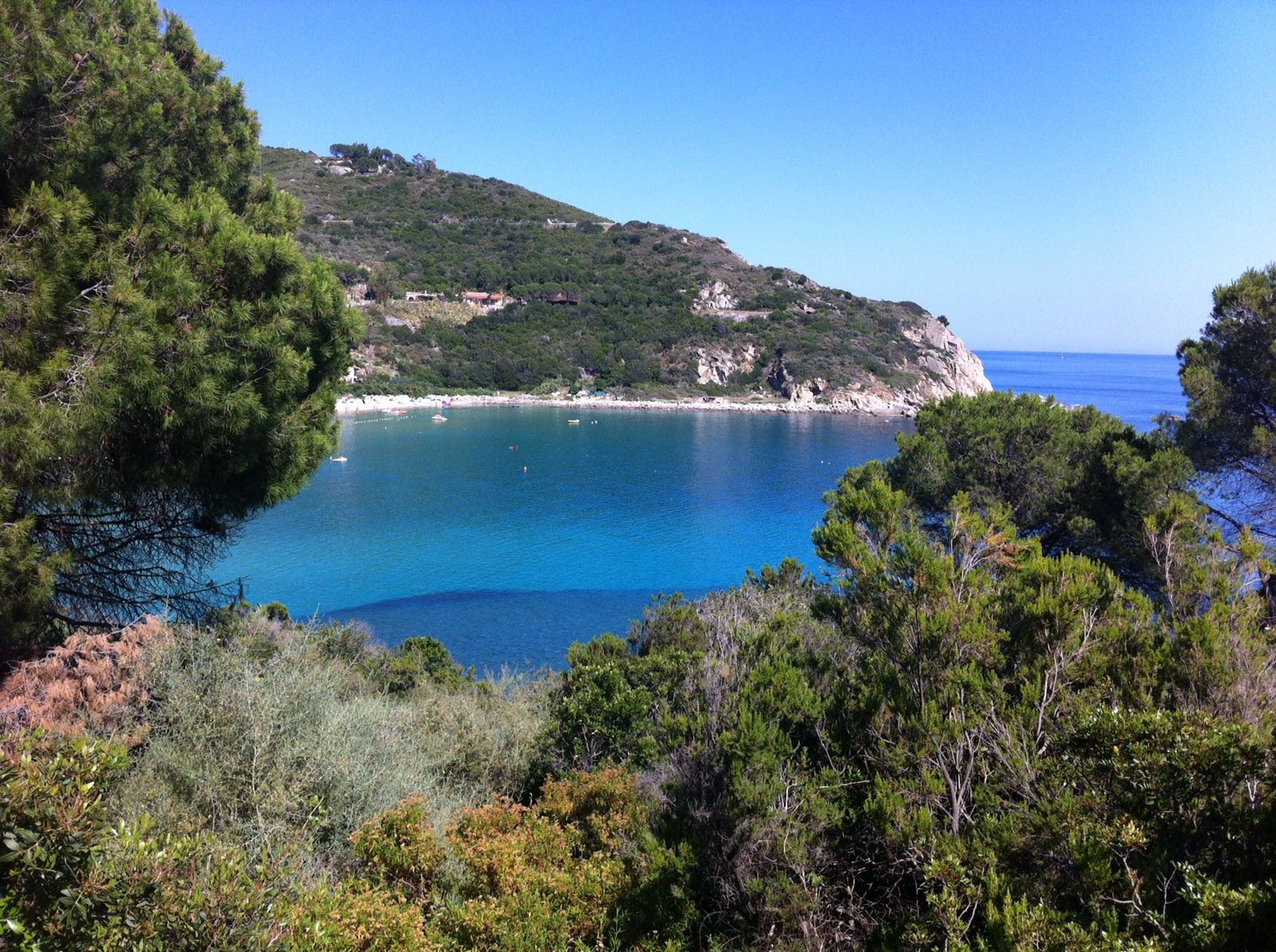 Scogliera del Calello e di Cala Maestrale