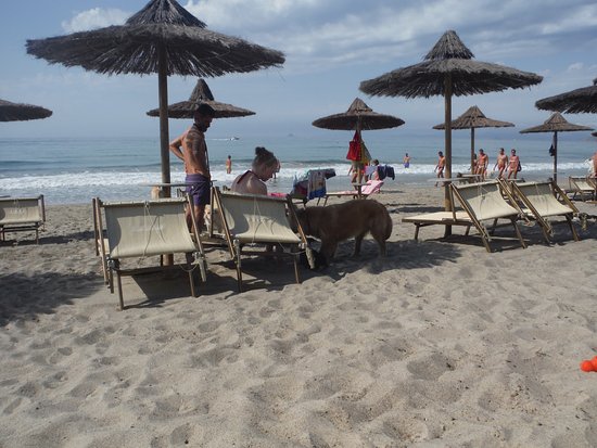 Pascià Glam Beach