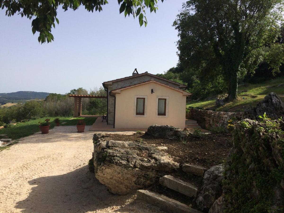 Polo Culturale Pietro Aldi