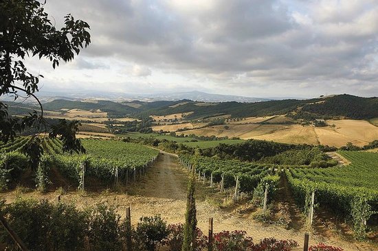 Maremma Wine and Company