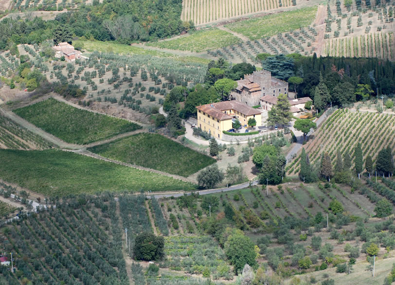 Tenuta del Palagio