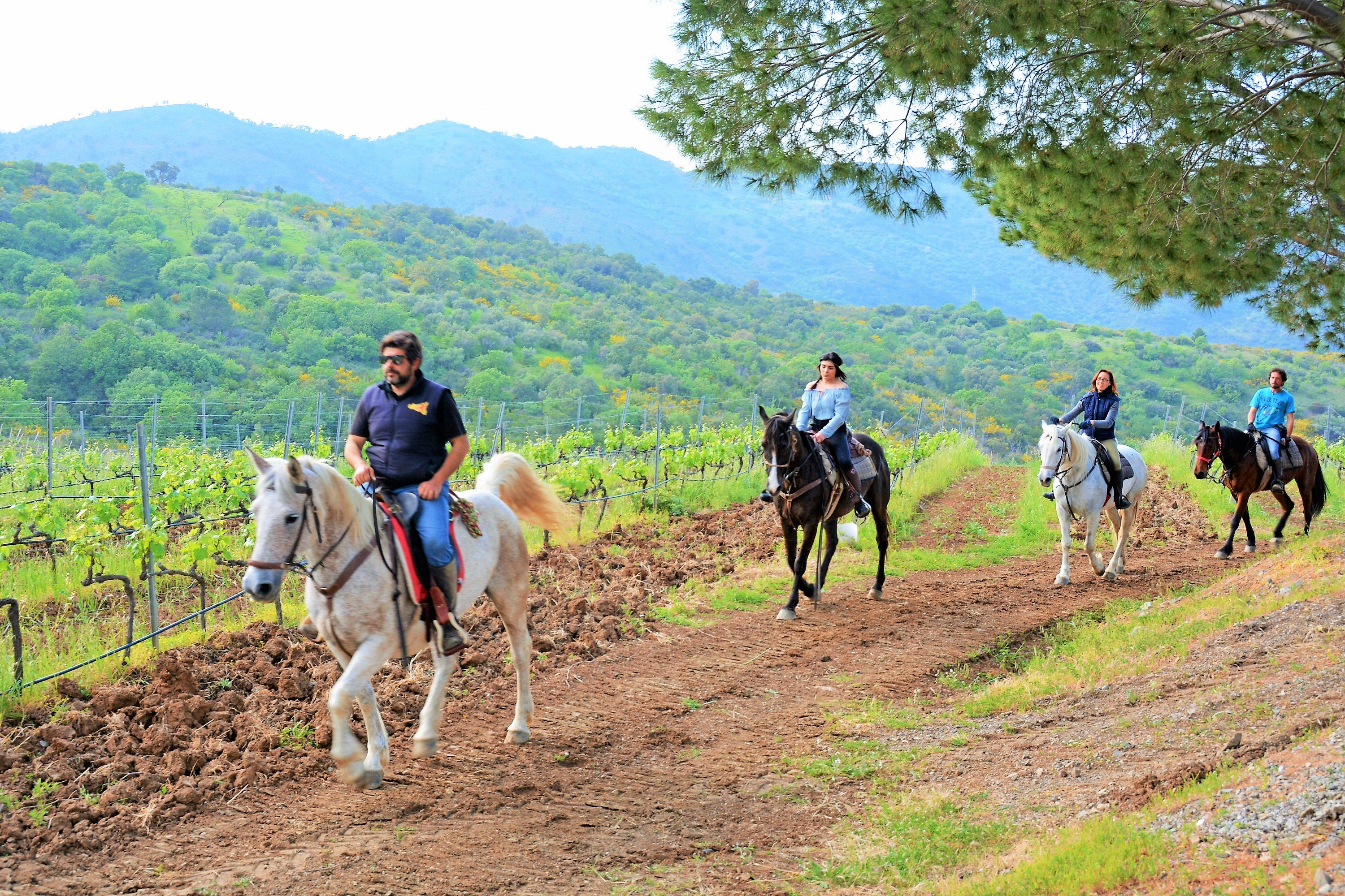 Sicily Horse Tours