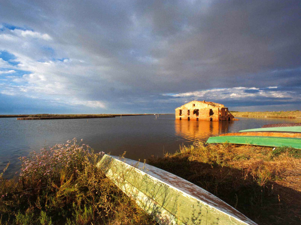 Parco Naturale Regionale del Delta del Po