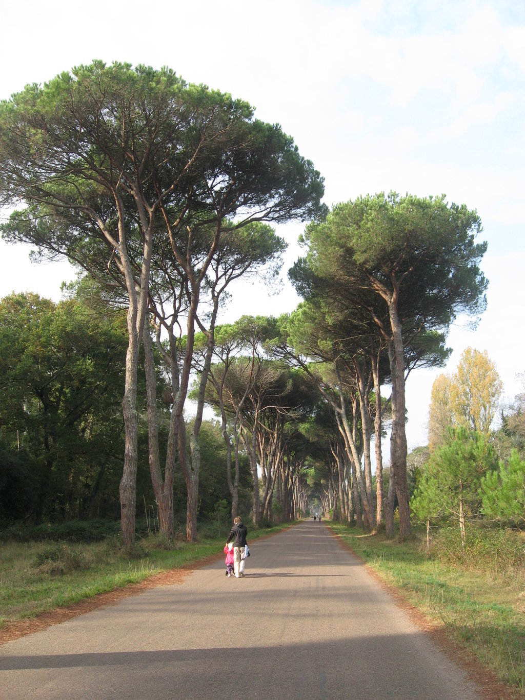 Parco Regionale Migliarino San Rossore Massaciuccoli
