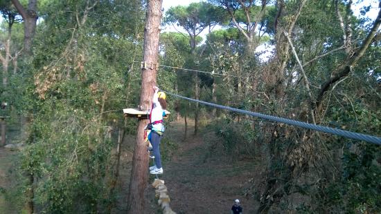 Il Pineto Parco Avventura