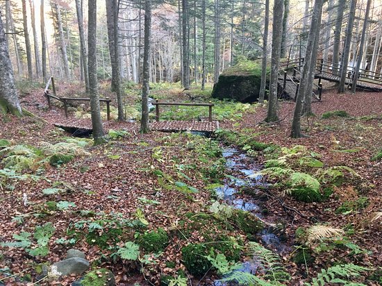 Orto Botanico Forestale