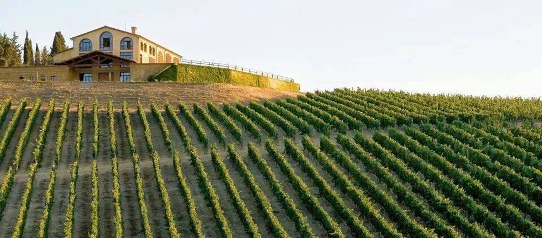 Azienda Agricola Castelvecchio