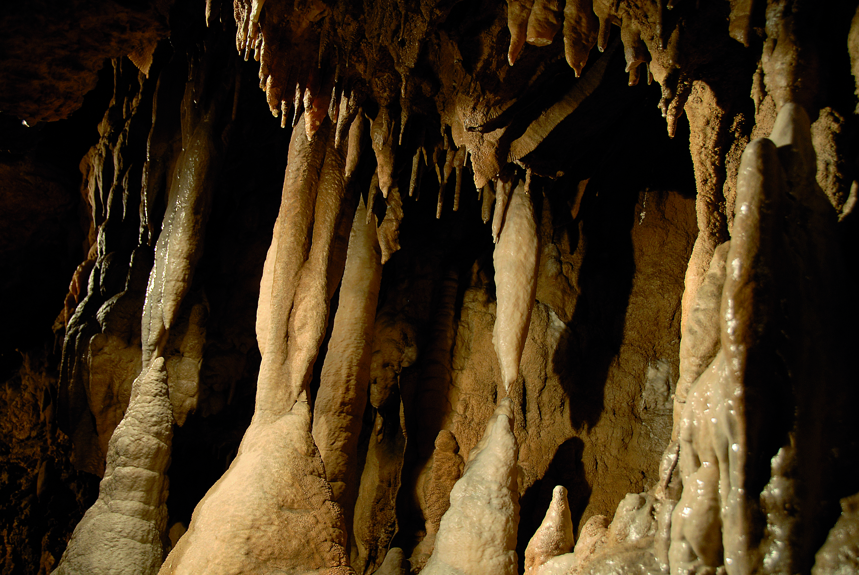 Grotte di Equi