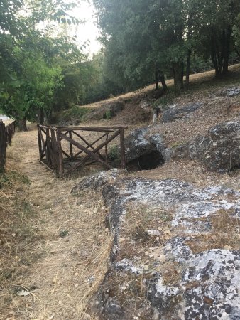 Necropoli Etrusca Di Malignano