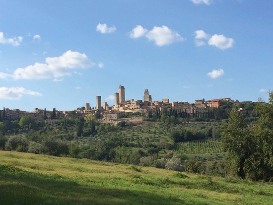 Guardastelle Vineyard