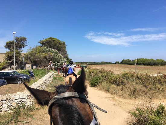 Circolo Ippico Malepezza