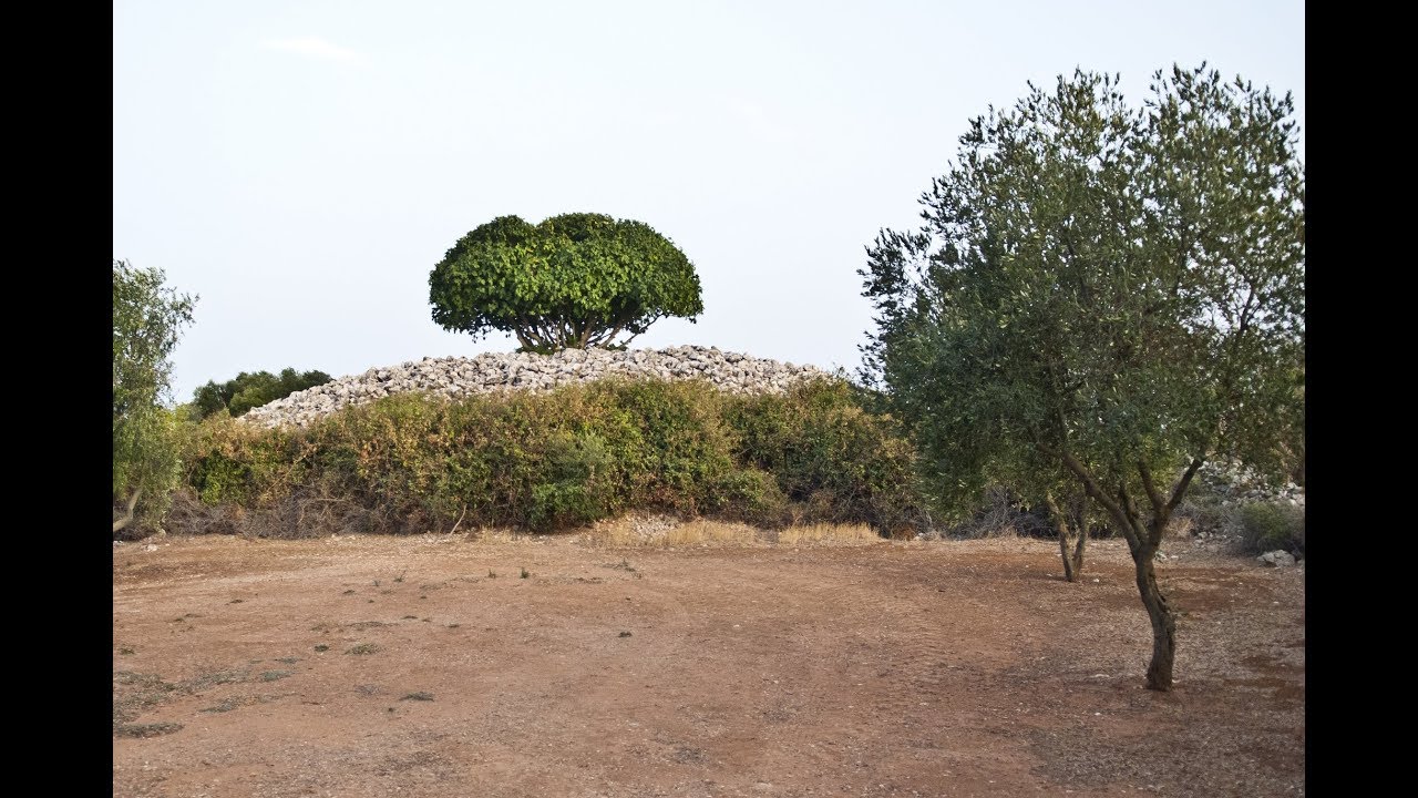 Specchia dei Mori