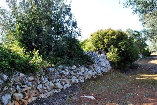 Limitone dei Greci