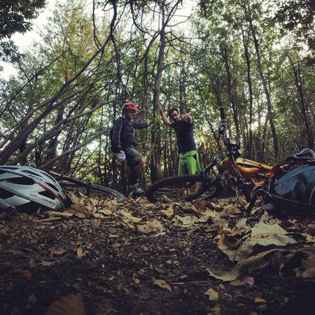 I Sentieri dei Lupi del Cornaggia - MTB