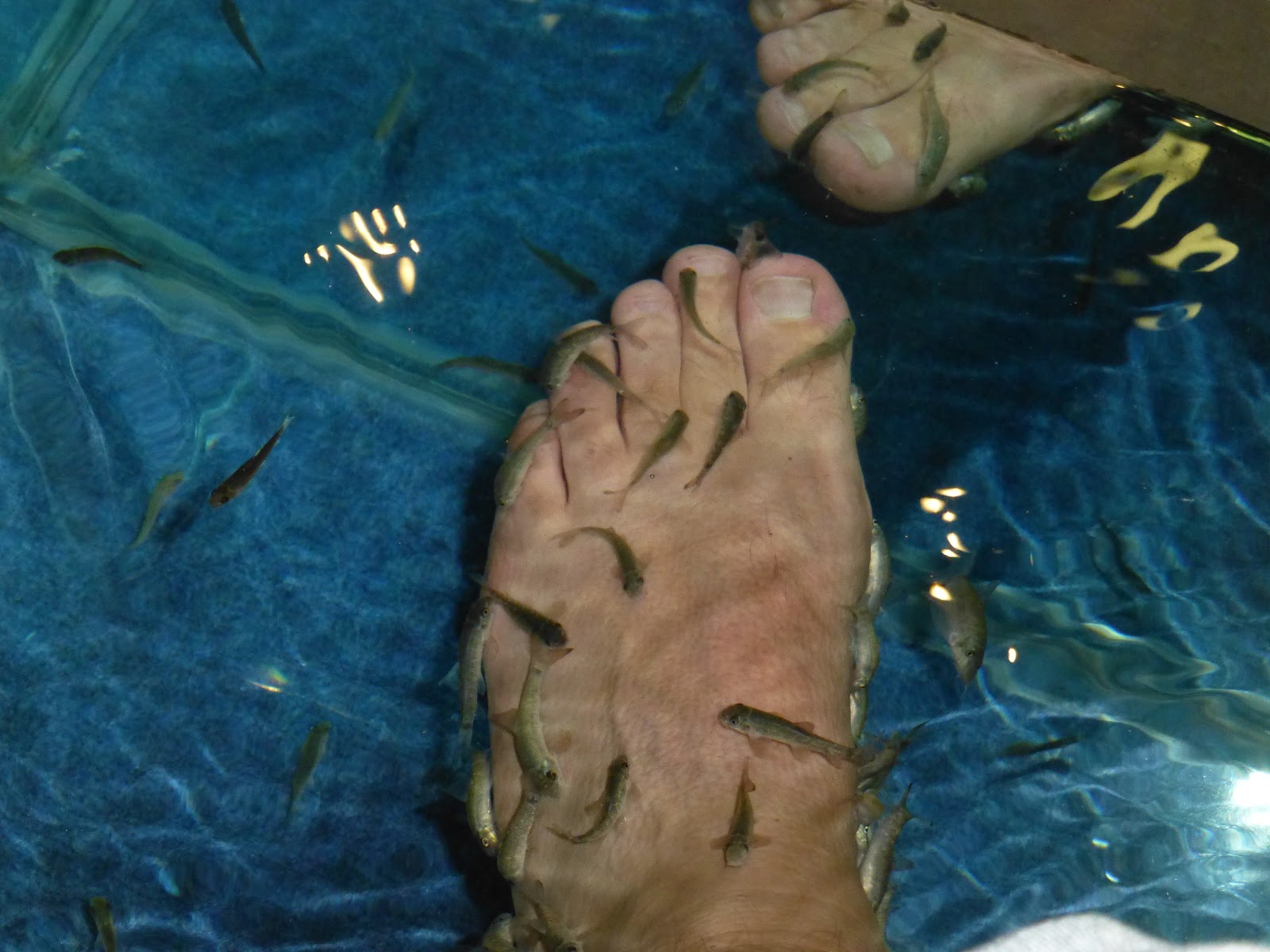 Garrarufa Fish Therapy