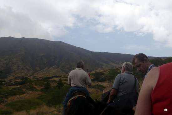 Etna Donkey Trekking