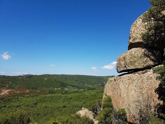 Foresta Demaniale dei Sette Fratelli