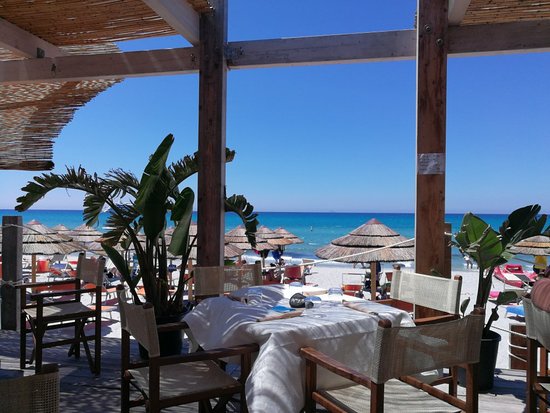 Stabilimento Balneare l'Oasi Azzurra