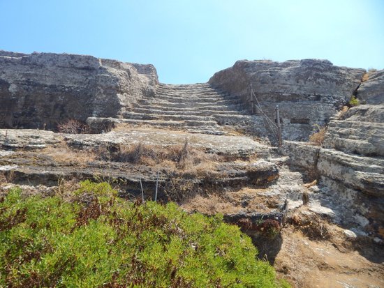Rocca della Falconiera