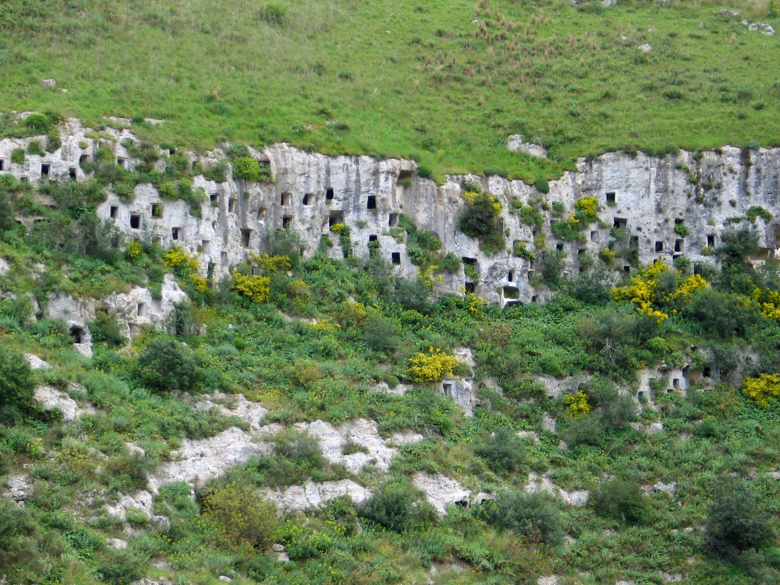 Necropoli Anguilla