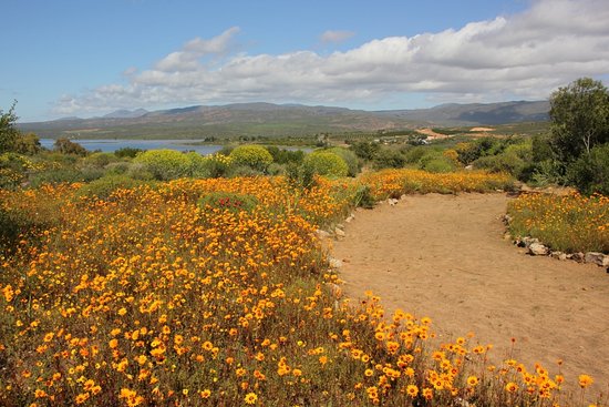 Ramskop Nature Reserve