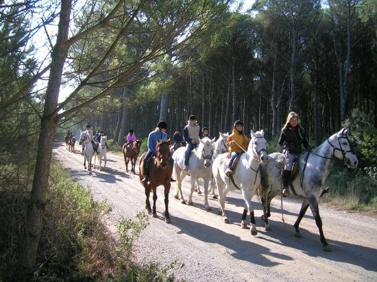 Hipica Begur Excursions a Caballo