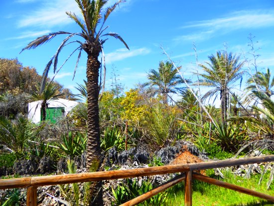 Parque Alfonso XIII