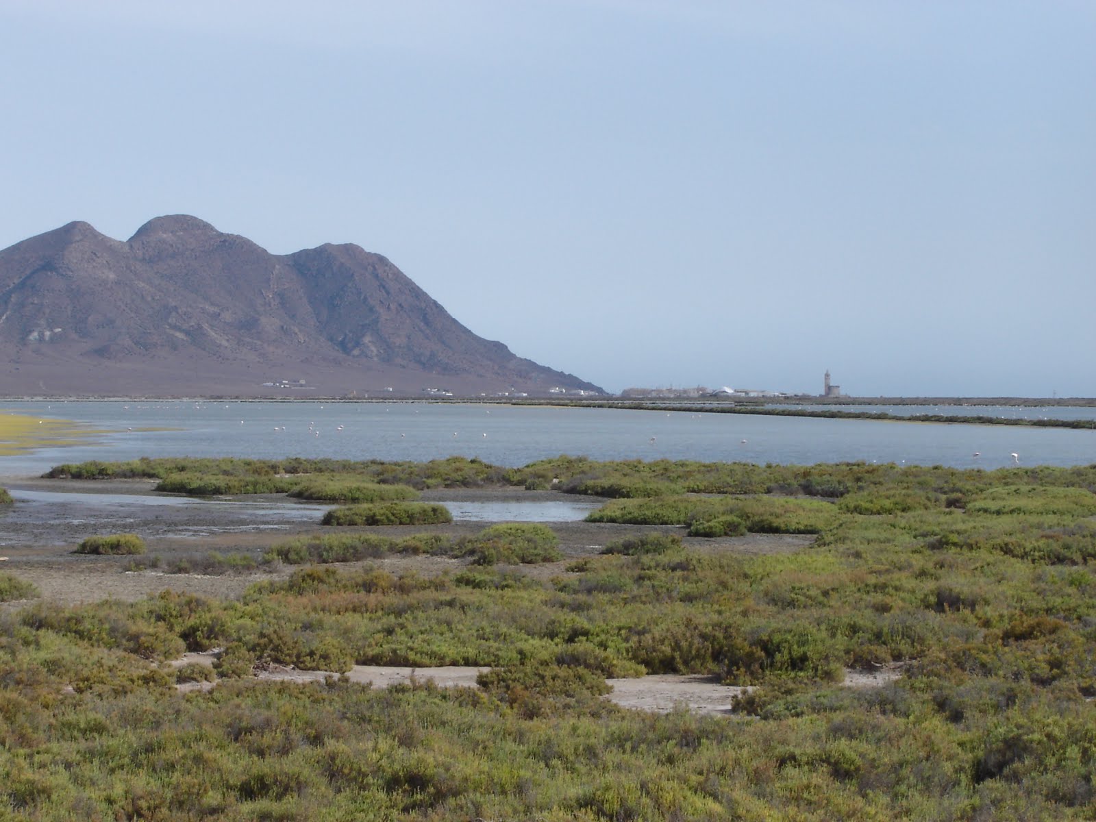 Las Salinas
