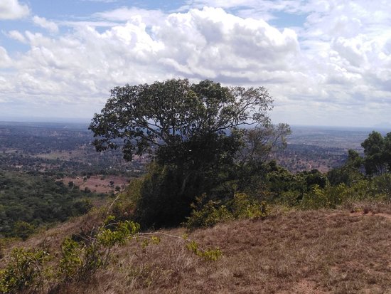 Shimba Hills National Reserve