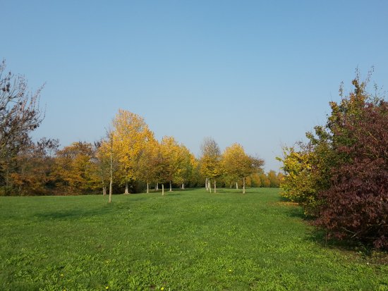 Parco San Giuliano