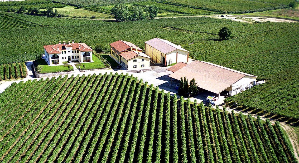 Azienda Agricola Monte del Fra