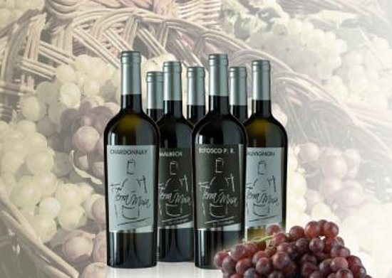 Cantina Terra Musa