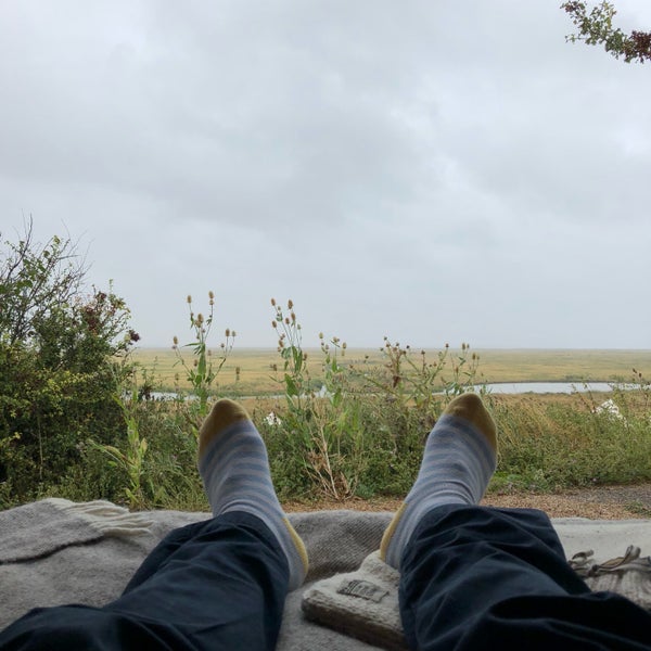 Elmley National Nature Reserve