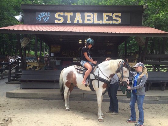 George Mead Memorial Stables