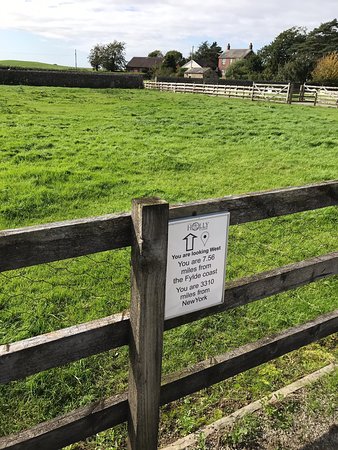 Old Holly Farm