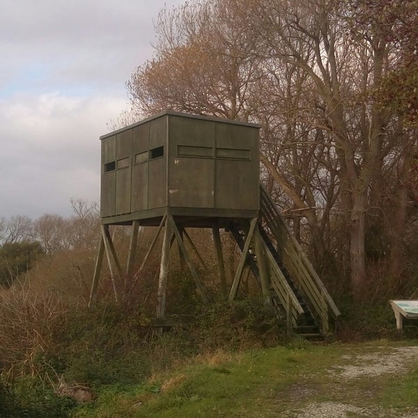Stodmarsh National Nature Reserve