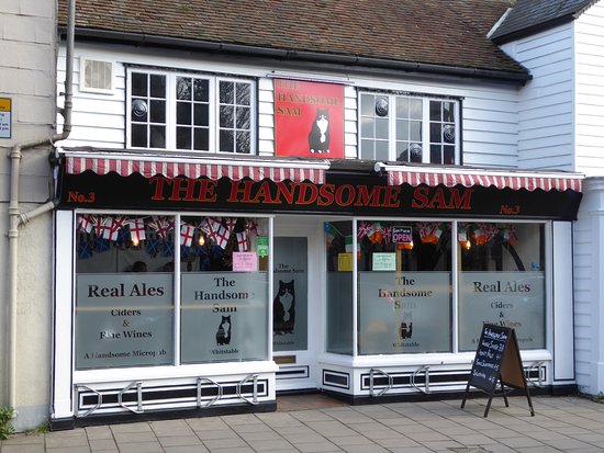 The Handsome Sam