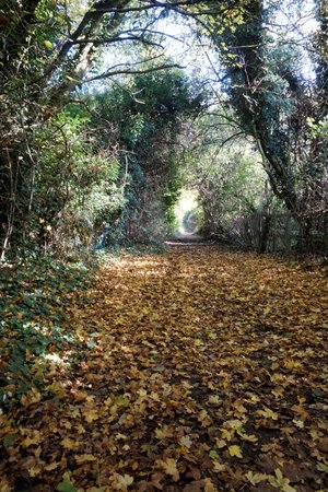 Coldrum Long Barrow