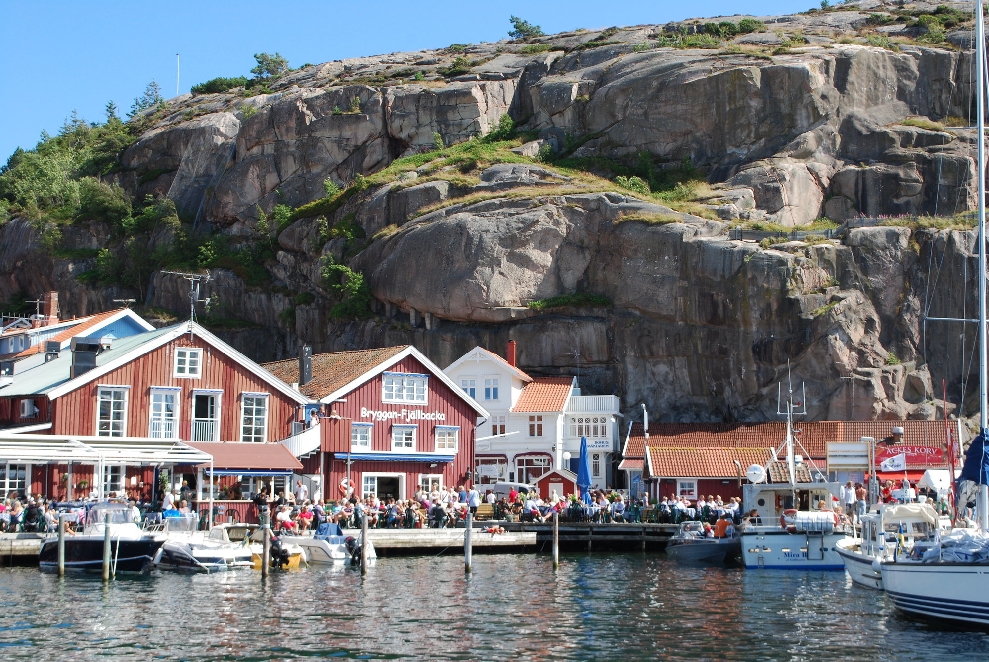 M/S Mira