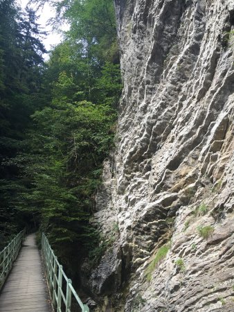 Les Gorges De La Jogne