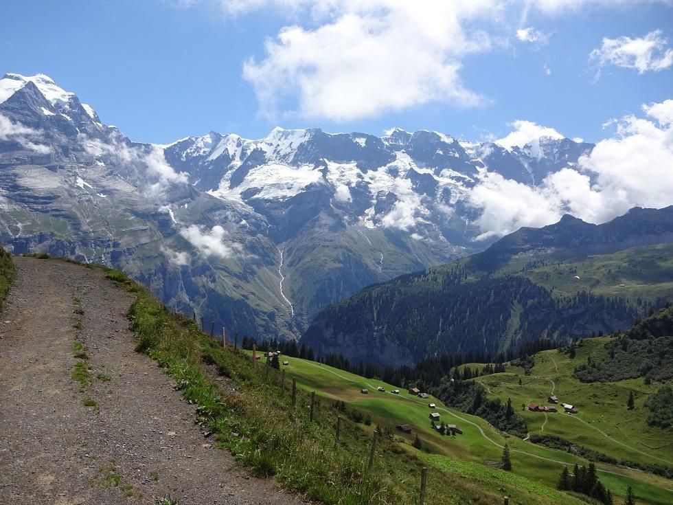 North face Trail