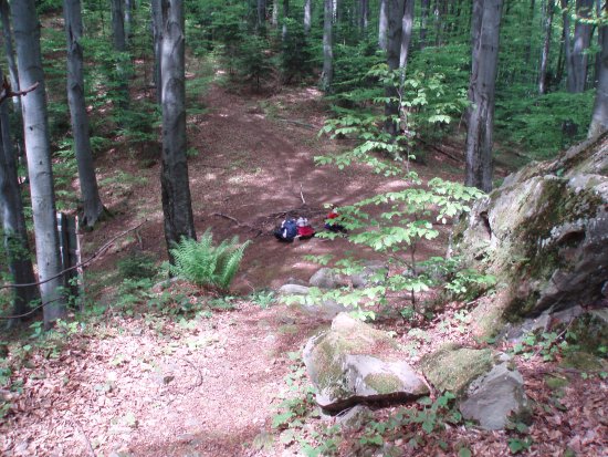 National Park Gutsulshhina