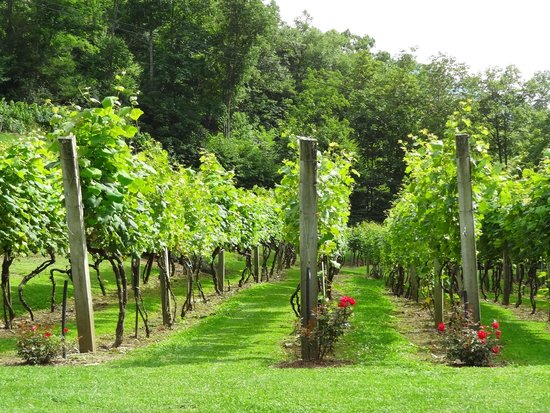 Grandfather Vineyard & Winery