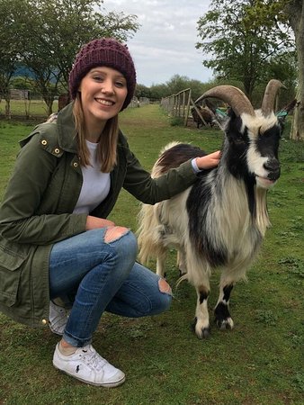 Bridlington Animal Park